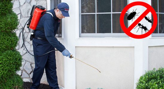 Çavdır Bit İlaçlama böcek ilaçlama ve haşere kontrolü — ilaclama-tr.com